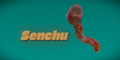 线虫/Senchu